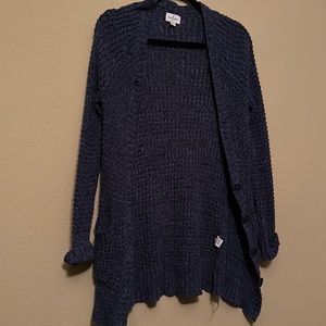 Blue American Eagle Cardigan